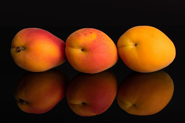 Group of three whole fresh orange apricot isolated on black glass