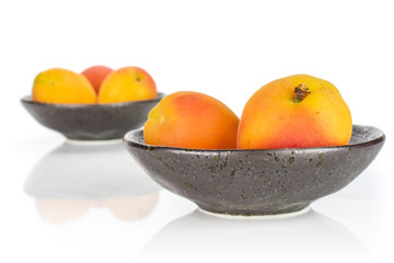 Group of five whole fresh orange apricot in a dark ceramic bowl isolated on white background