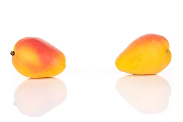 Group of two whole fresh orange apricot isolated on white background