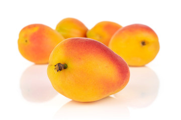 Group of five whole fresh orange apricot one is in the front isolated on white background