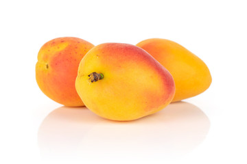 Group of three whole fresh orange apricot isolated on white background