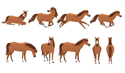 Set of brown horse wild or domestic animal cartoon design flat vector illustration isolated on white background