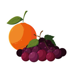 fresh fruits orange and grapes