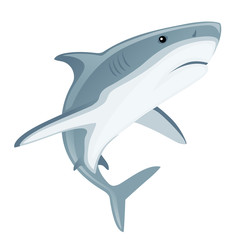 Shark with mouth closed giant apex predator cartoon animal design flat vector illustration isolated on white background