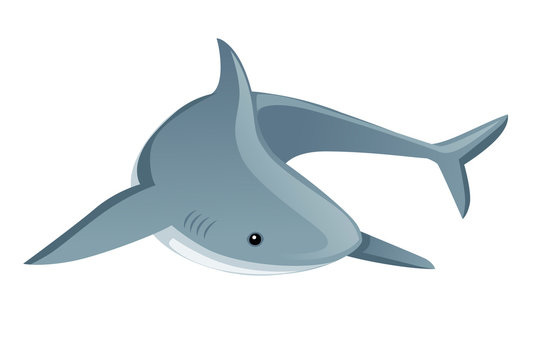 Shark giant apex predator cartoon animal design flat vector illustration isolated on white background