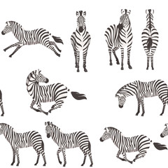 Seamless pattern of african zebra side and front view cartoon animal design flat vector illustration on white background