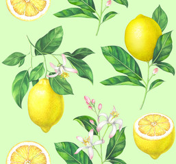 Watercolor lemon pattern on light green background