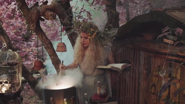 grass collector prepares decoction of forest plants and wildflowers, prophetess cleans steam in cauldron with wooden spoon and looks at patterns on cutlery, holds secret open book in streets