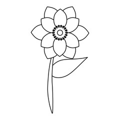 flower tropical spring floral cartoon in black and white
