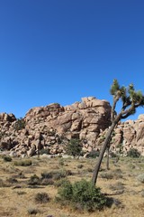 Ancient Mojave Desert rock formations comprised of monzogranite and other minerals make for...