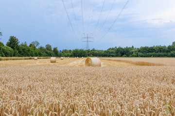 Round dry hay and straw bales from cut grain on harvested wheat fields. Scenery of countryside...