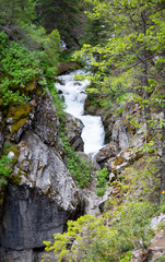 waterfall in forest big cottonwood canyon splash wet spring summer green 