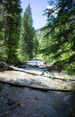 waterfall in forest big cottonwood canyon splash wet spring summer green 