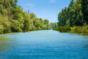 Danube delta landscape in Romania