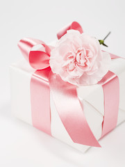 Carnation flowers and gifts.