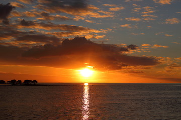 Naklejka premium Communion avec la nature