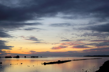 Fin de soirée dorée