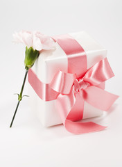 Carnation flowers and gifts.