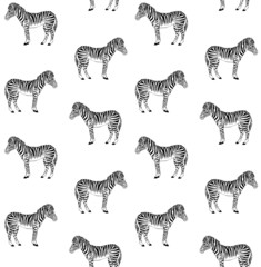 Fototapeta na wymiar Vector seamless pattern of black ink hand drawn doodle sketch zebra animal standing isolated on white background