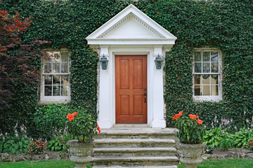 Front door and steps of vine covered house