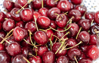 Bunch of Cherries