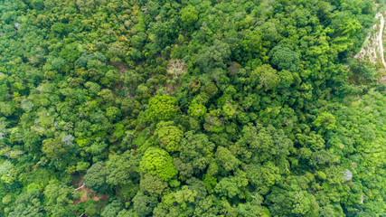 Fototapeta na wymiar Aerial view Top view of Tropical rainforest