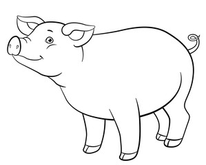 Coloring page. Cute pig stands and smiles.