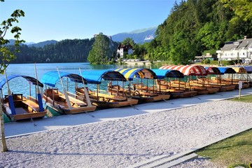 Naklejka premium The Lake Bled in Slovenia