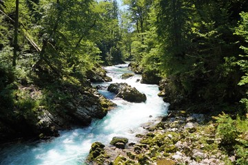 Vintgar Valley in Bled Slovenia