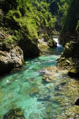 Naklejka premium Vintgar Valley w Bled Słowenii