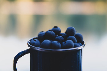 Cup filled with fresh picked, ripe blueberries outside