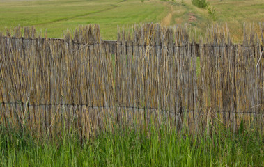 Fototapeta premium fence made of thin wooden rods in daylight