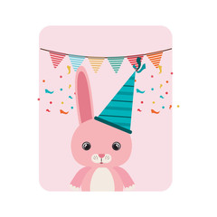 birthday card and bunny with hat party
