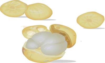 Sweet and Tasty Lanseh Fruit