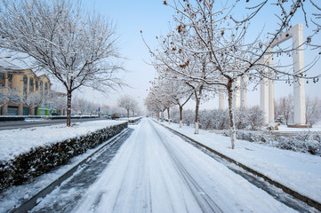 Obraz premium Snow scenery and rime in the park