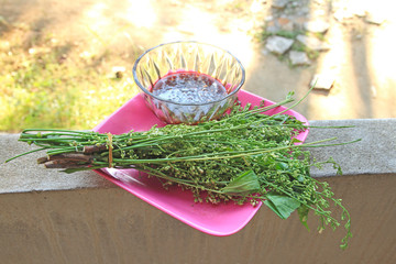 Siamese neem tree Vegetables, herbs for health,thaiiland