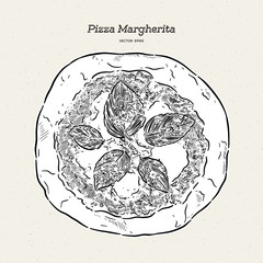 Pizza Margherita, hand draw sketch vector.
