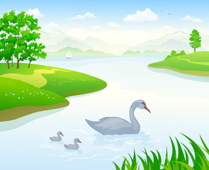 Vector illustration of a lake landscape with floating swans