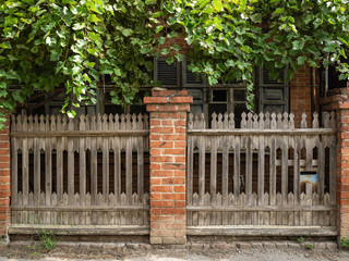 Fototapeta premium Outdated house with wooden and brick fence. From above grow thick branches of the vineyard