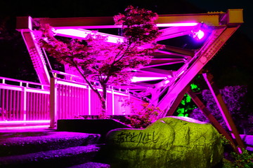 鶴仙渓　あやとり橋のライトアップ