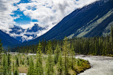 Fototapeta premium Mountain