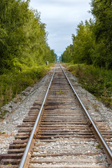 Fototapeta premium dense green forest under cloudy blue sky with a railroad run through the centre lead to far end.