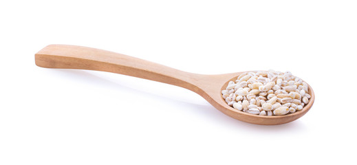 Sun flower seed on wood spoon isolated on white background.