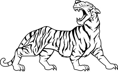 Tiger Roaring Wild Animal Vector Illustration