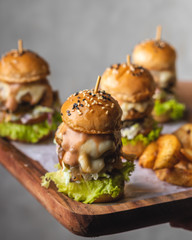 Sliders with grilled chicken and potato wedges