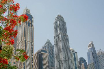 Modern skyscrapers in United Arab Emirates 