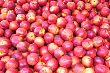 Fresh nectarines for sale at a market