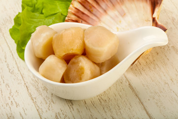 Raw scallops heap