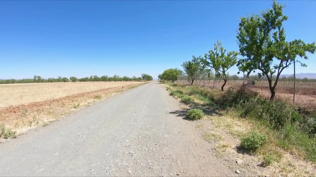 dirt road between Cogollos de Guadix and Guadix, province of Granada, Andalusia, Spain