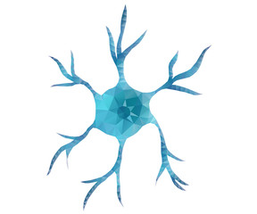 neuron, star, polygon